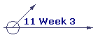 11 Week 3