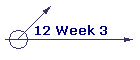 12 Week 3