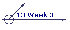 13 Week 3